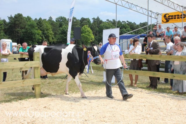 Nagordy dla superchampionów i championów  - 7