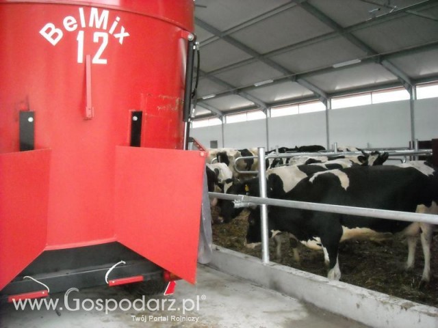 BelMix 12 i mućki