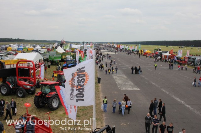 Polskie Zboża Zielone Agroshow - 78