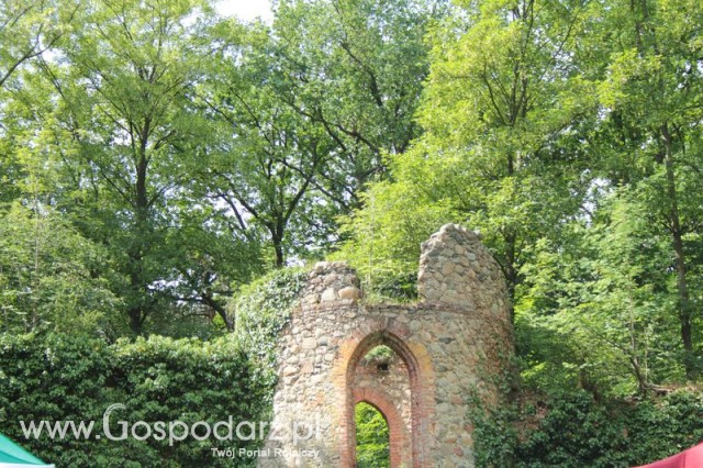 XX Targi Rolnicze Lubniewice