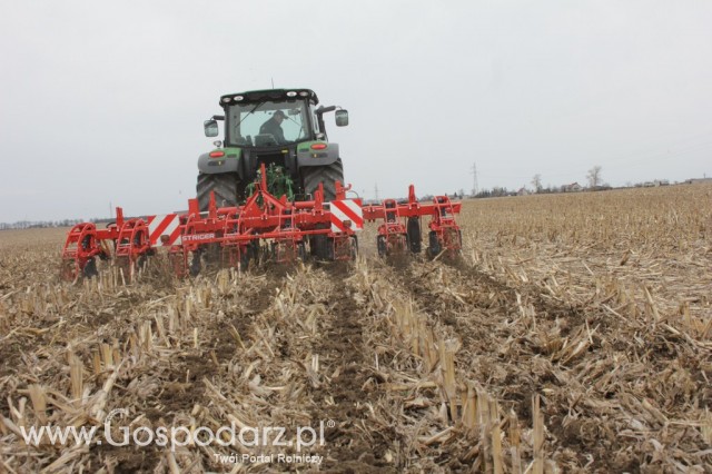 Kultywator STRIGER do uprawy pasowej - 28