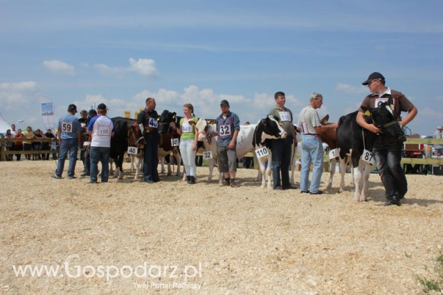 Nagordy dla superchampionów i championów  - 77