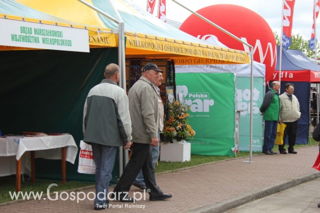 VII Ogólnopolska Wystawa Bydła Hodowlanego - 106