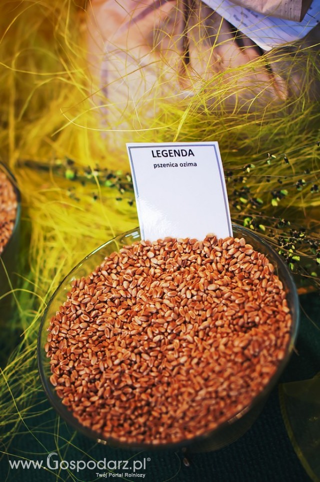 Polagra Premiery 2012 - 45