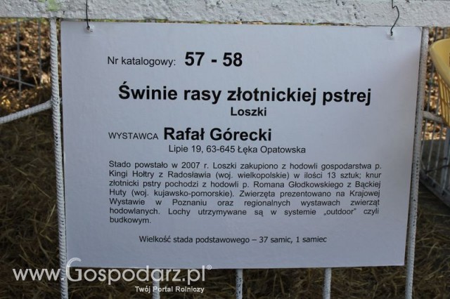 Foto reportaż z Targów Rolno-Ogrodnicze AGROMARSZ Marszew 2011