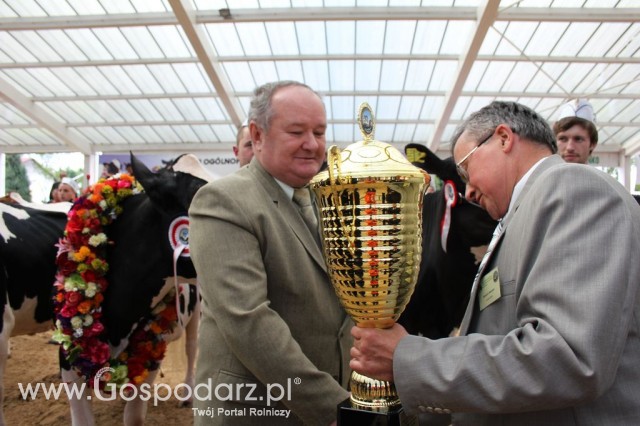 VII Ogólnopolska Wystawa Bydła Hodowlanego - 56