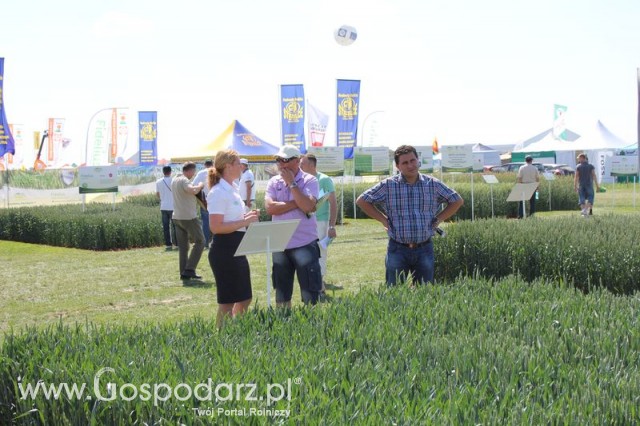 Polskie Zboża 2011 - Sobota