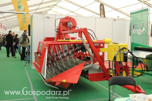 SFAMASZ Jan Dziedzic - 8