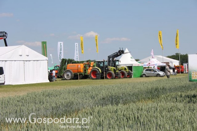 Polskie Zboża 2011 - Sobota