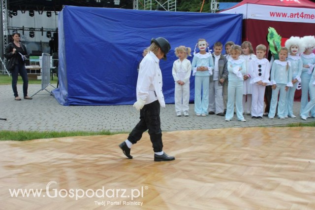 Występy artystyczne odbywające się podczas Dni Indyka