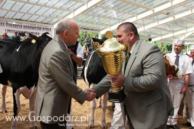 VII Ogólnopolska Wystawa Bydła Hodowlanego - 45