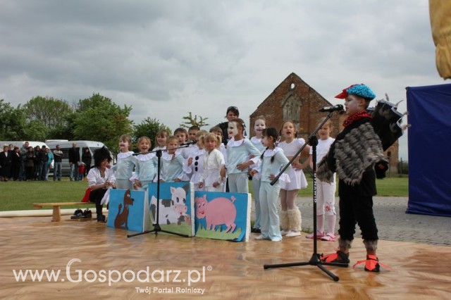 Występy artystyczne odbywające się podczas Dni Indyka