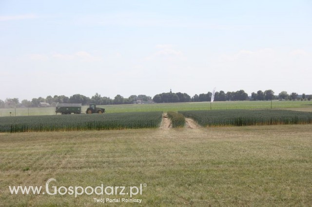 Polskie Zboża 2011 - Sobota