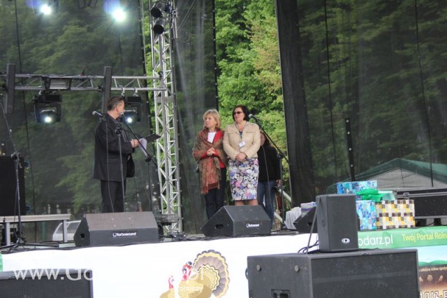 Występy artystyczne odbywające się podczas Dni Indyka