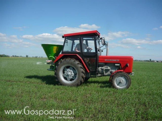 Siew saletry Ursusem c360 + RNZ Brzeg