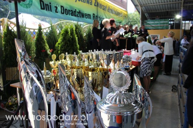 Nagrody - Szepietowo 2012 XIX Regionalna Wystawa Zwierząt Hodowlanych - 1