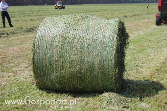 Zielone Agro Show pokaz maszyn rolniczych