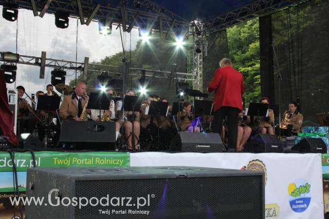 Występy artystyczne odbywające się podczas Dni Indyka