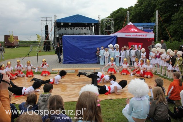 Występy artystyczne odbywające się podczas Dni Indyka