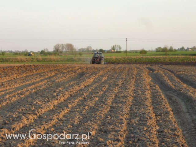 Ursus 1014 de luxe w oddali;) fota nr 2