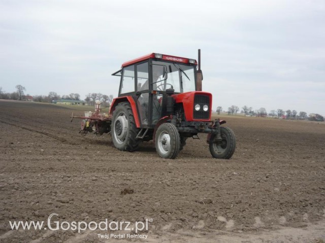 Ursus c330 + siewnik do buraków