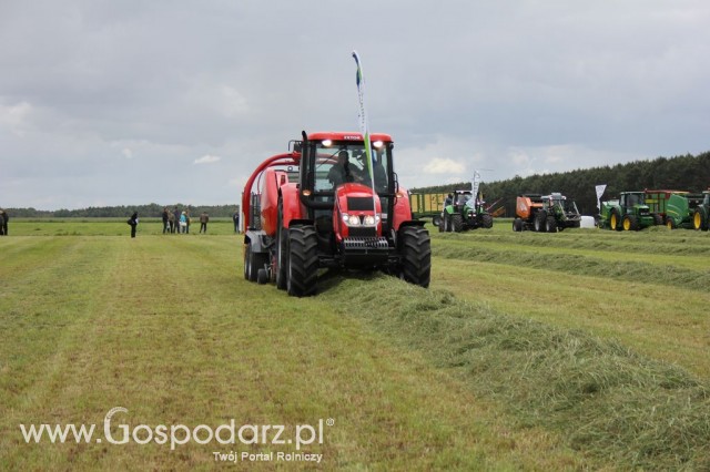 Pokazy Maszyn Polskie Zboża Zielone Agroshow 2012  - 86