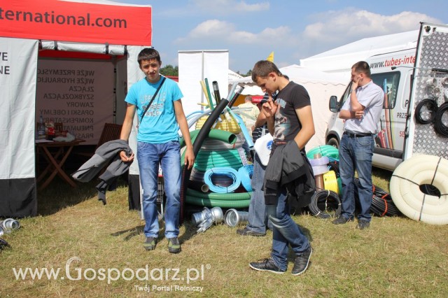 Tubes International - Opolagra 2012 - 4