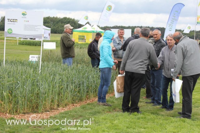 Zielone Agro Show Kąkolewo - Polskie Zboża  - 38