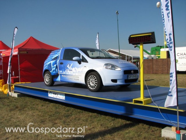 Zdj. - 584 - MIARY I WAGI Tomasz Kogut Sp.j.