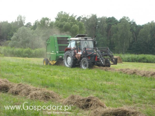 zbieranie siana