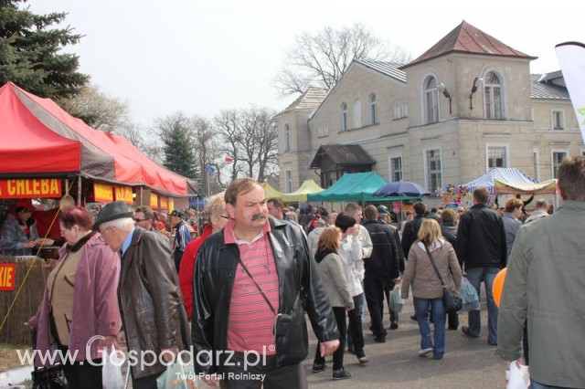 Fotoreportaż z XX Agro-Targów 2011 w Starej Łubiance