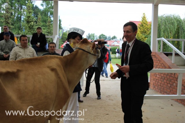 VII Ogólnopolska Wystawa Bydła Hodowlanego - 125