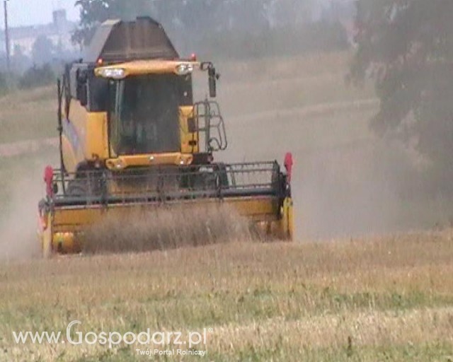 Żniwa [ NH CX8060 ].
