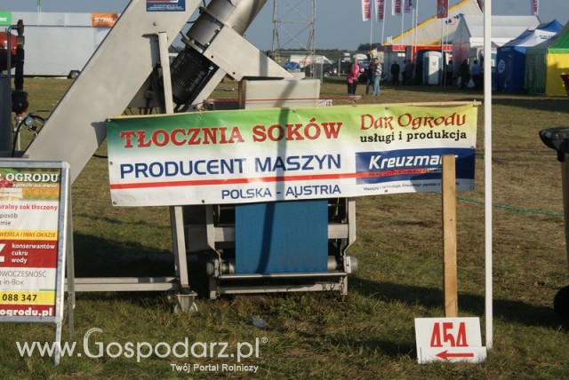 Zdj. - 309 - DAR OGRODU