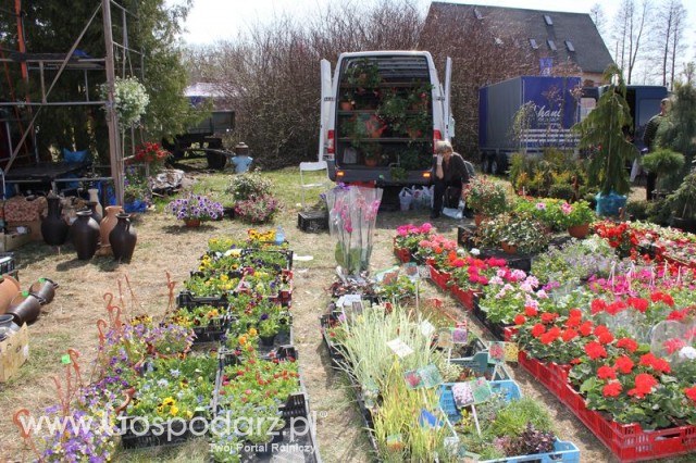 Fotoreportaż z XX Agro-Targów 2011 w Starej Łubiance