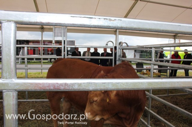 Zielone Agro Show Kąkolewo - Polskie Zboża  - 12