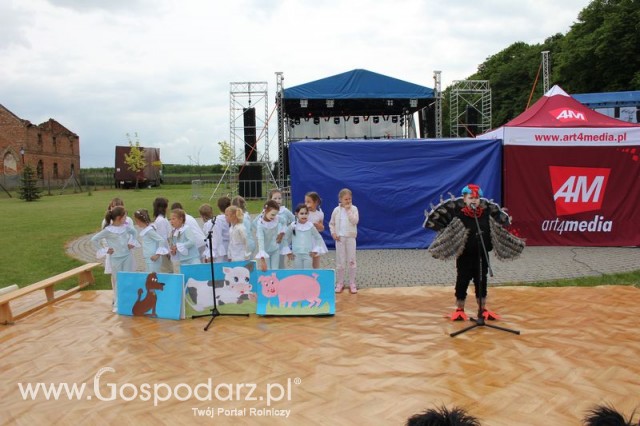 Występy artystyczne odbywające się podczas Dni Indyka