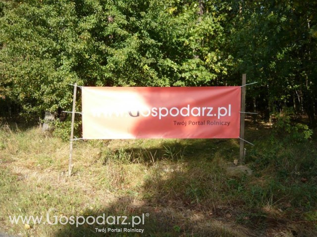 Najlepszy portal na świecie