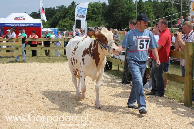 Nagordy dla superchampionów i championów  - 36