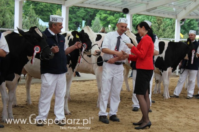 Prezentacja Championów na VII Ogólnopolskiej Wystawie Bydła Hodowlanego w Sielinku 2012 - 43