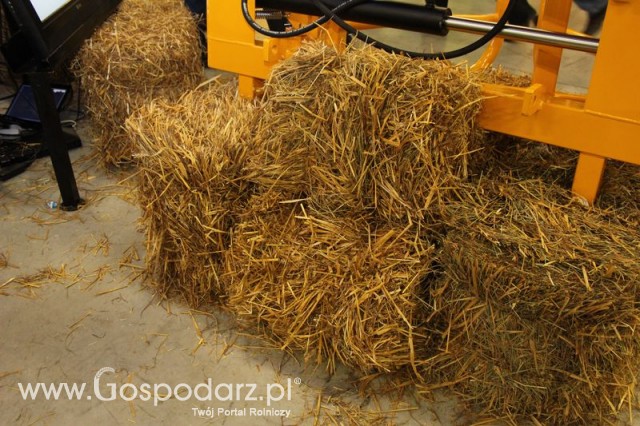 Fotoreportaż AGROTECH, LAS EXPO 2011