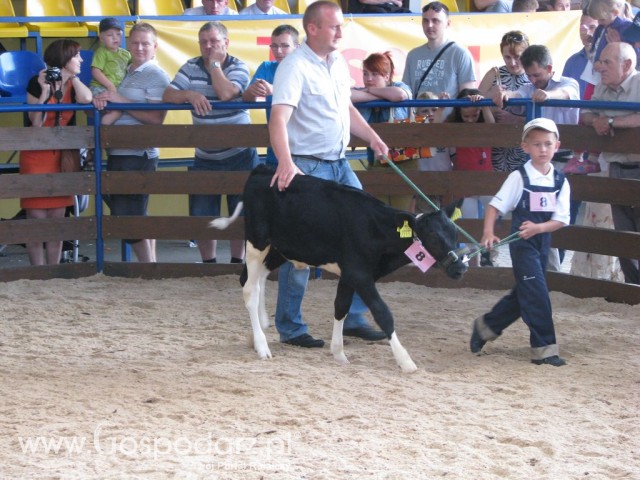 Młody Hodowca - Szepietowo 2012 - 81