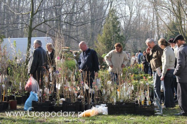Foto reportaż z Targów Rolno-Ogrodnicze AGROMARSZ Marszew 2011