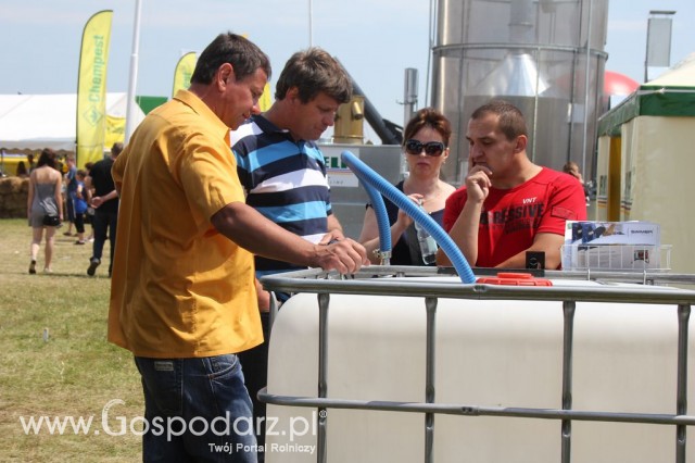 Swimer - Opolagra 2012 - 3