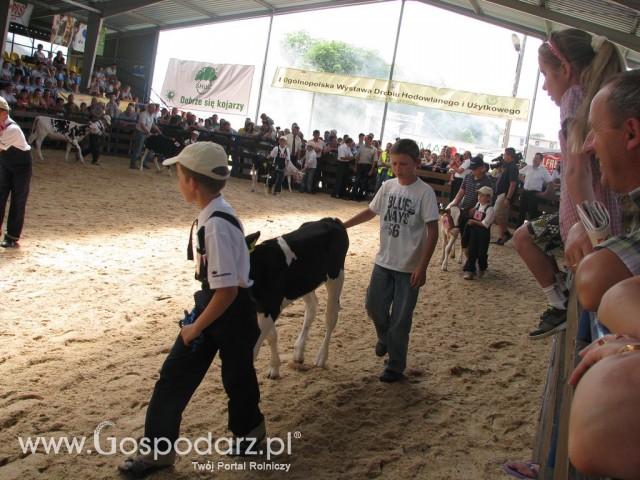 Młody Hodowca - Szepietowo 2012 - 33