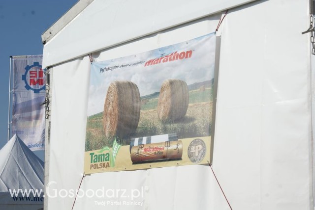 Zdj. - 110 - TAMA POLSKIE FOLIE 