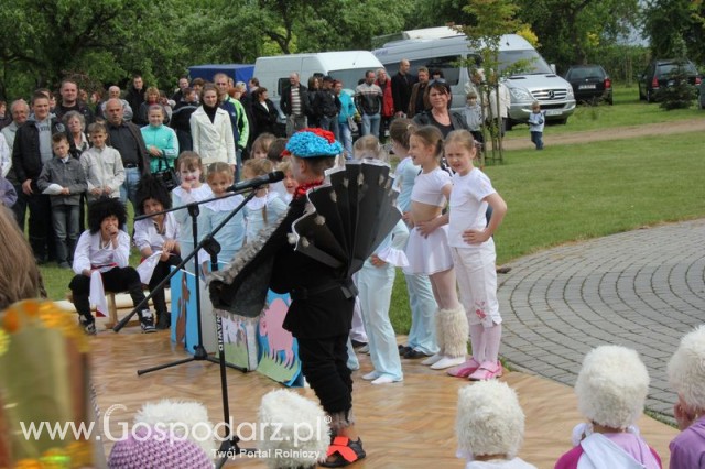 Występy artystyczne odbywające się podczas Dni Indyka