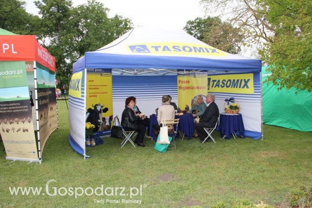 Pierwsze dni indyka w Koźminku