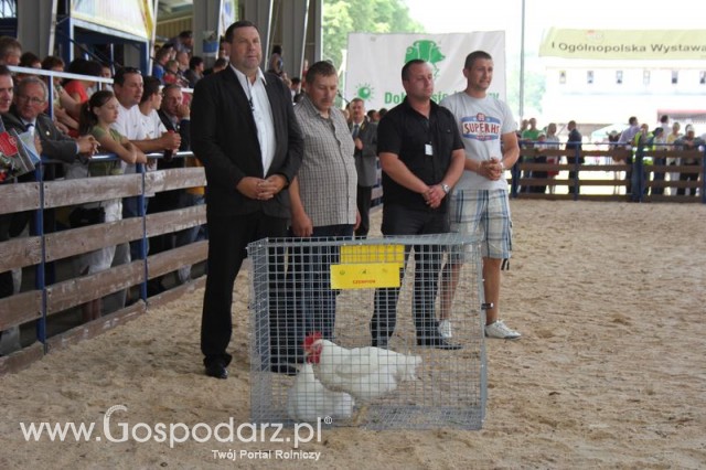 Nagrody - Szepietowo 2012 XIX Regionalna Wystawa Zwierząt Hodowlanych - 44