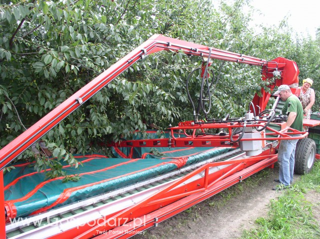 Otrząsarko - odwiewarka typ OSA-1